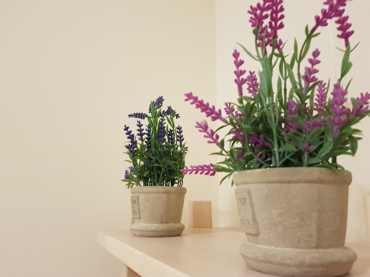 Stirling Central Apartment ภายนอก รูปภาพ